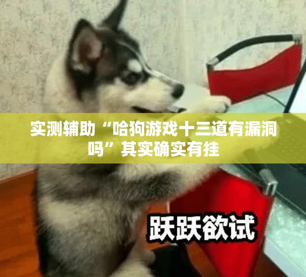 实测辅助“哈狗游戏十三道有漏洞吗”其实确实有挂