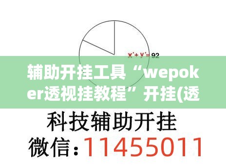 辅助开挂工具“wepoker透视挂教程”开挂(透视)辅助神器