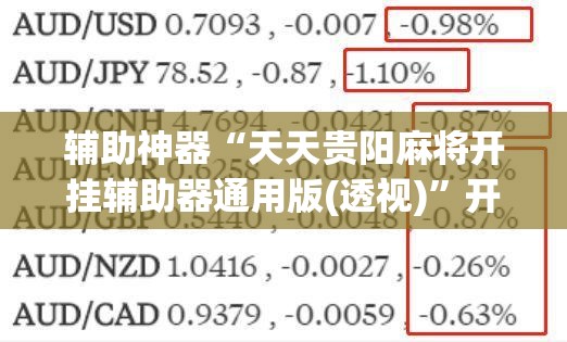 辅助神器“天天贵阳麻将开挂辅助器通用版(透视)	”开挂辅助脚本+详细开挂安装教程