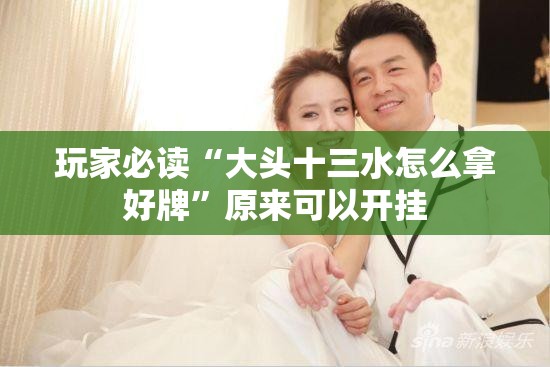 玩家必读“大头十三水怎么拿好牌	”原来可以开挂