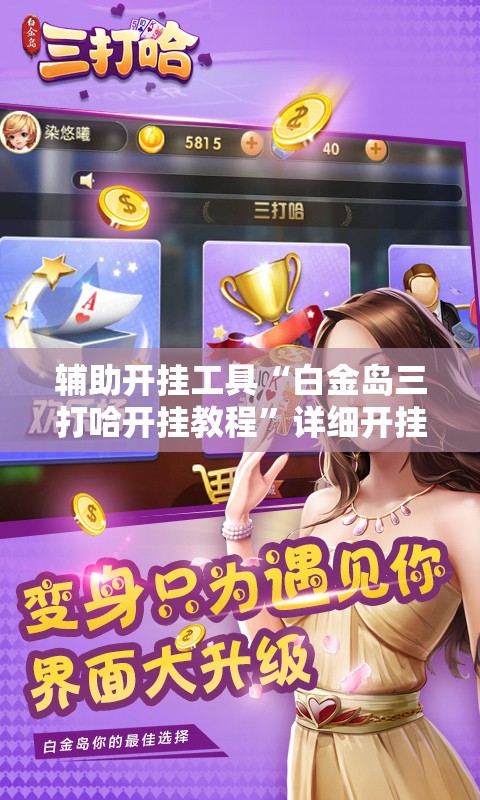 辅助开挂工具“白金岛三打哈开挂教程”详细开挂教程