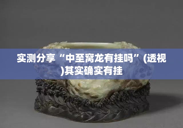 实测分享“中至窝龙有挂吗”(透视)其实确实有挂