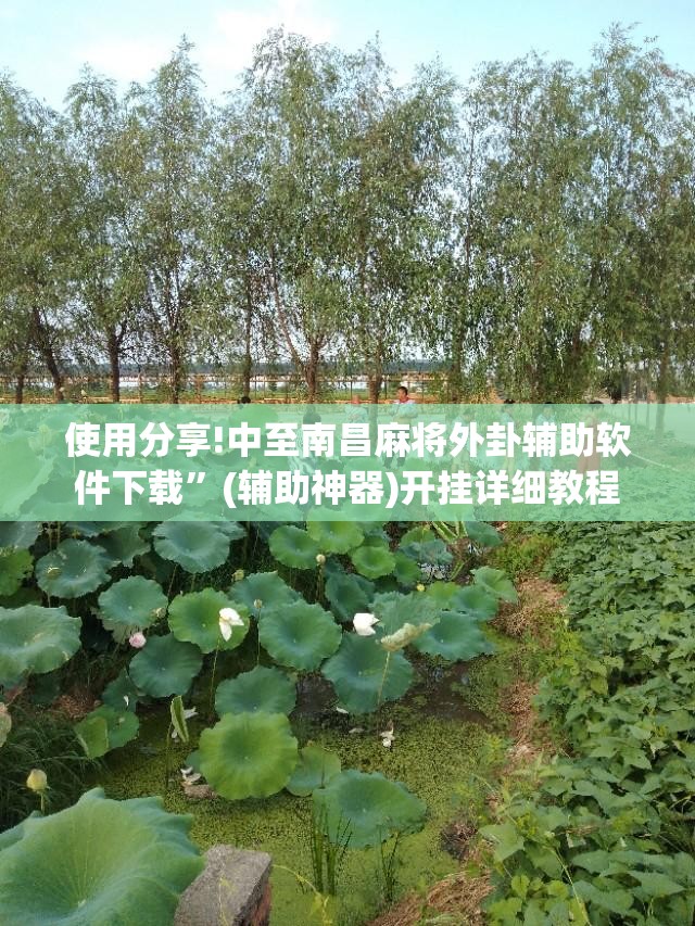 使用分享!中至南昌麻将外卦辅助软件下载”(辅助神器)开挂详细教程