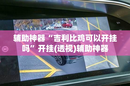 辅助神器“吉利比鸡可以开挂吗”开挂(透视)辅助神器