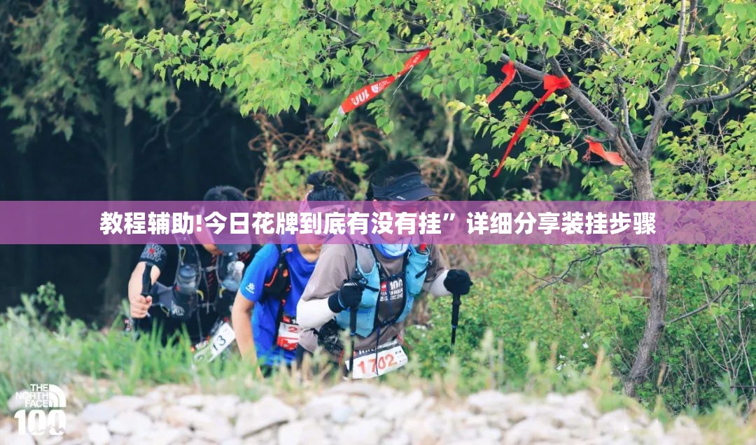 教程辅助!今日花牌到底有没有挂	”详细分享装挂步骤