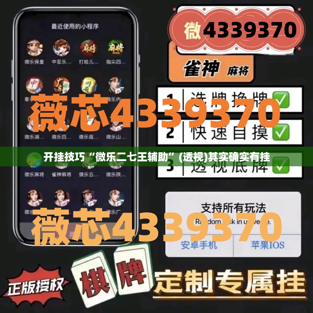 开挂技巧“微乐二七王辅助”(透视)其实确实有挂