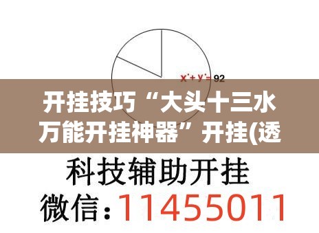 开挂技巧“大头十三水万能开挂神器”开挂(透视)最新辅助详细