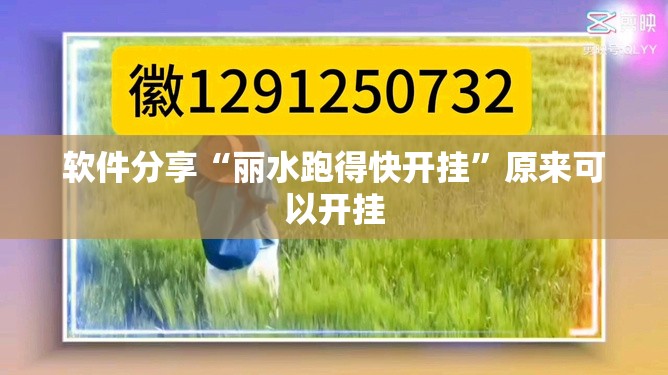 软件分享“丽水跑得快开挂”原来可以开挂