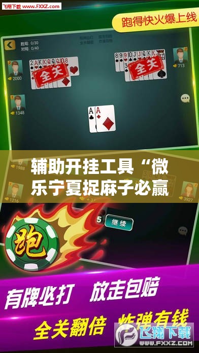 辅助开挂工具“微乐宁夏捉麻子必赢神器	”开挂辅助脚本+详细开挂安装教程