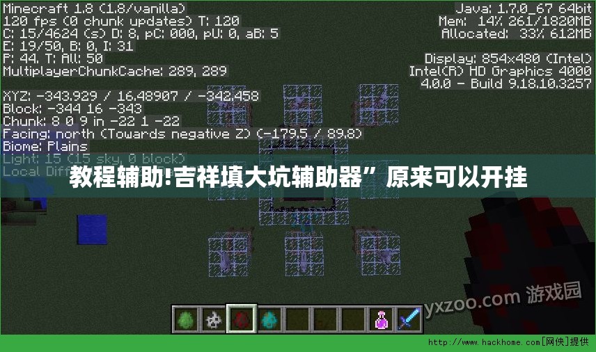 教程辅助!吉祥填大坑辅助器	”原来可以开挂