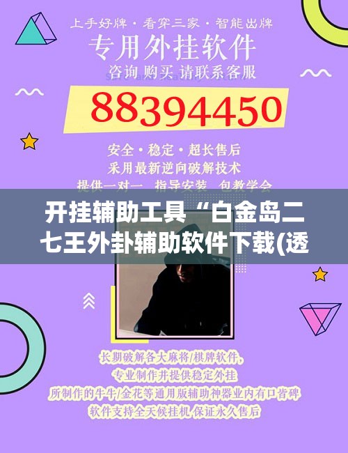 开挂辅助工具“白金岛二七王外卦辅助软件下载(透视)”开挂辅助脚本+详细开挂安装教程