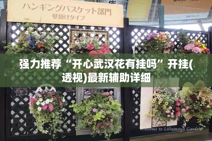 强力推荐“开心武汉花有挂吗”开挂(透视)最新辅助详细