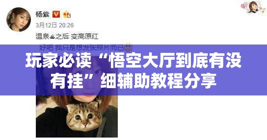 玩家必读“悟空大厅到底有没有挂”细辅助教程分享