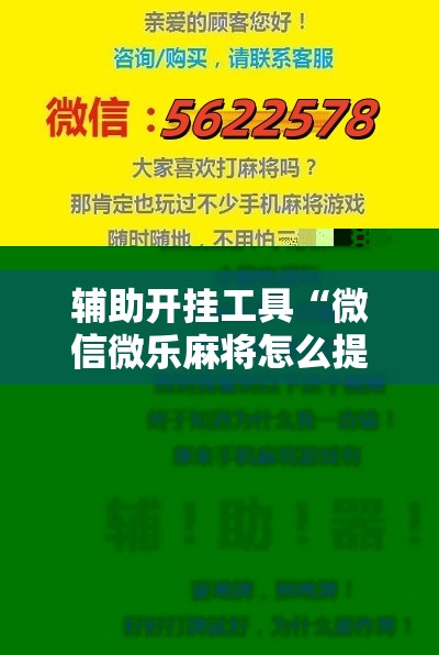 辅助开挂工具“微信微乐麻将怎么提高胜率”科技辅助神器手机版