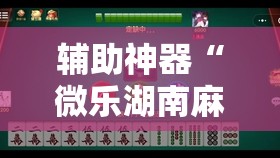 辅助神器“微乐湖南麻将小程序必赢神器免费	”其实确实有挂