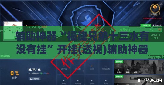 辅助神器“福建兄弟十三水有没有挂	”开挂(透视)辅助神器