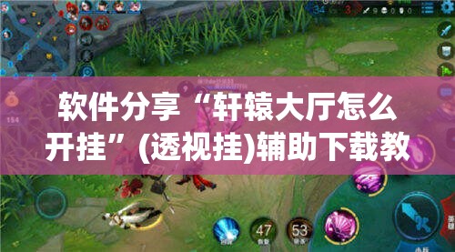 软件分享“轩辕大厅怎么开挂”(透视挂)辅助下载教程