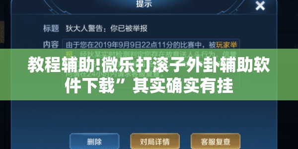 教程辅助!微乐打滚子外卦辅助软件下载”其实确实有挂