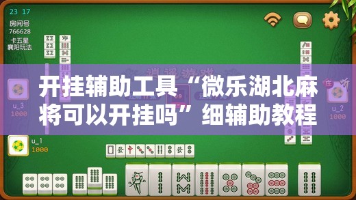 开挂辅助工具“微乐湖北麻将可以开挂吗”细辅助教程分享