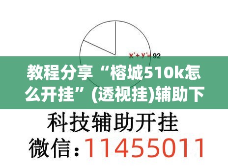 教程分享“榕城510k怎么开挂”(透视挂)辅助下载教程