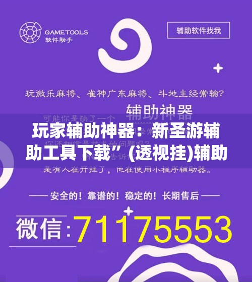 玩家辅助神器：新圣游辅助工具下载	”(透视挂)辅助下载教程