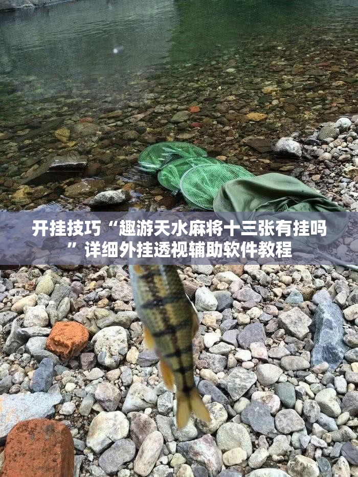 开挂技巧“趣游天水麻将十三张有挂吗”详细外挂透视辅助软件教程