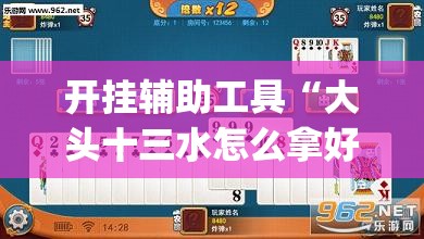 开挂辅助工具“大头十三水怎么拿好牌”开挂(透视)辅助神器