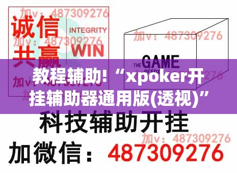 教程辅助!“xpoker开挂辅助器通用版(透视)”开挂辅助脚本+详细开挂安装教程
