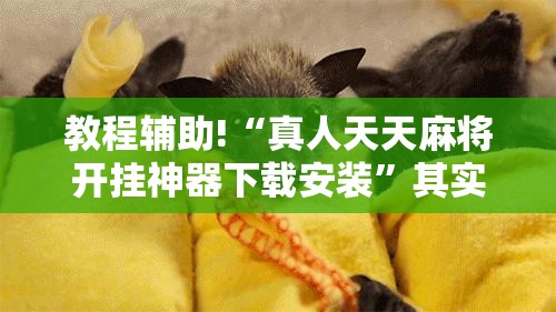教程辅助!“真人天天麻将开挂神器下载安装”其实确实有挂