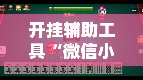 开挂辅助工具“微信小程序微乐山东麻将万能开挂神器”详细外挂透视辅助软件教程