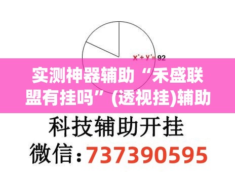 实测神器辅助“禾盛联盟有挂吗”(透视挂)辅助下载教程