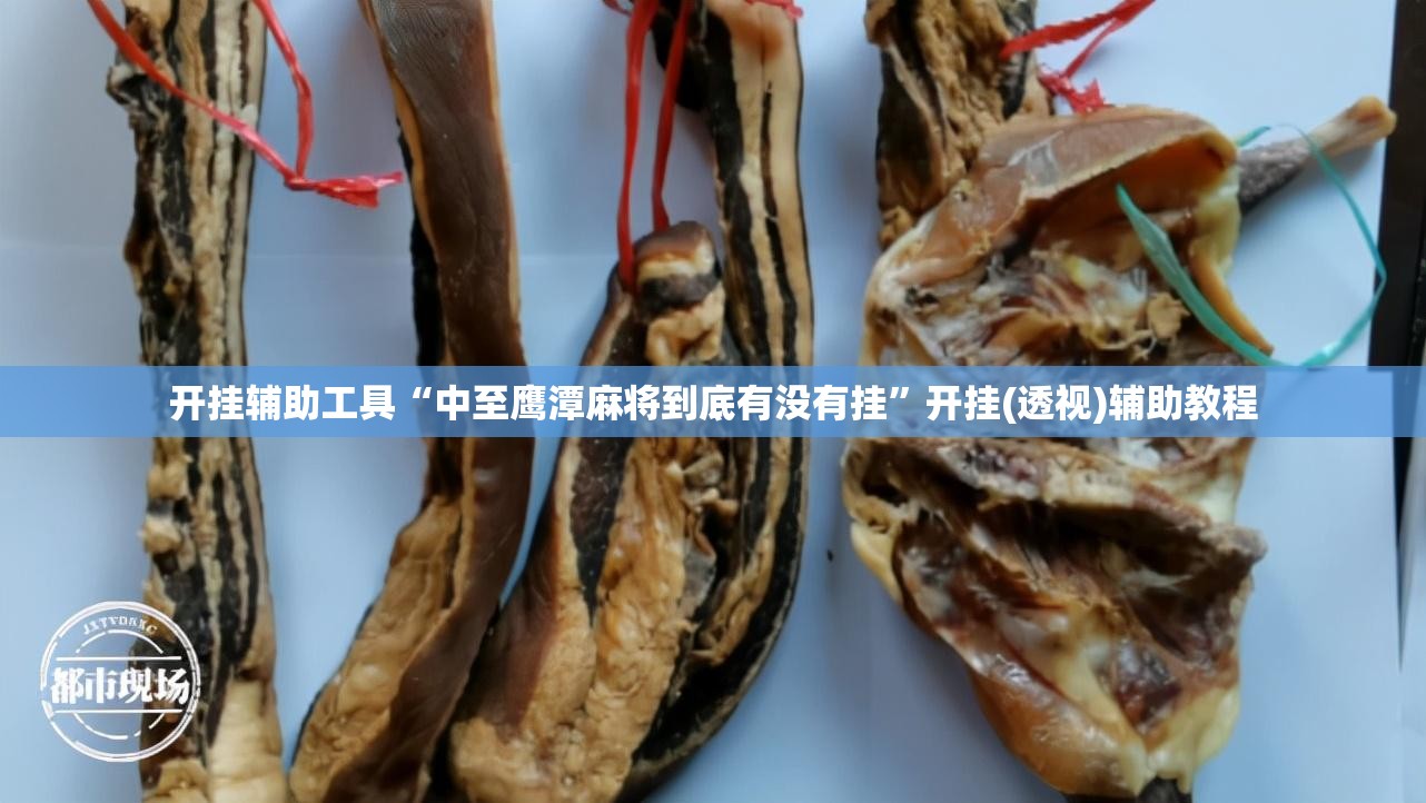 开挂辅助工具“中至鹰潭麻将到底有没有挂”开挂(透视)辅助教程