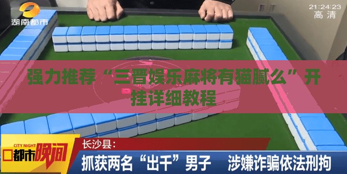 强力推荐“三晋娱乐麻将有猫腻么”开挂详细教程