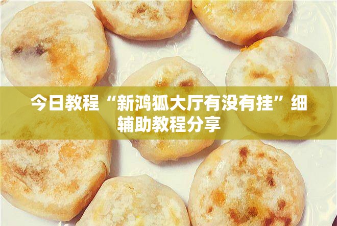 今日教程“新鸿狐大厅有没有挂”细辅助教程分享