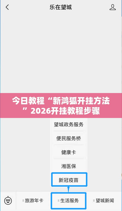 今日教程“新鸿狐开挂方法”2026开挂教程步骤