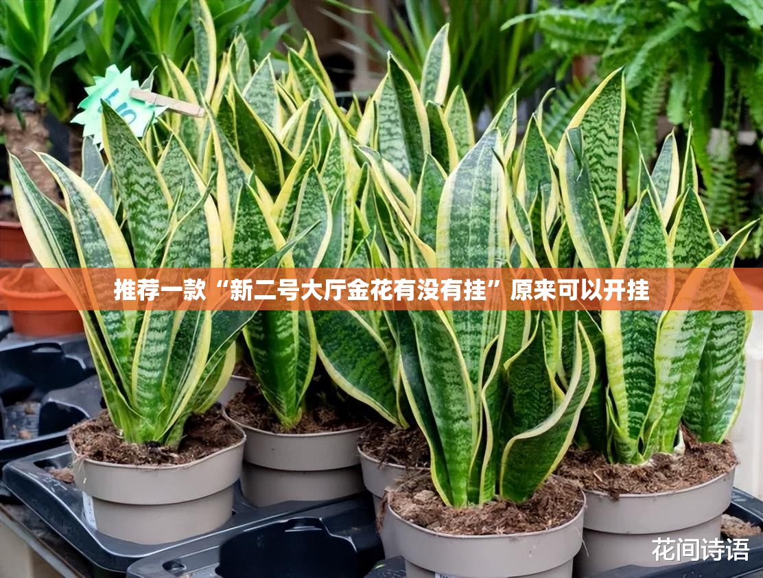 推荐一款“新二号大厅金花有没有挂	”原来可以开挂