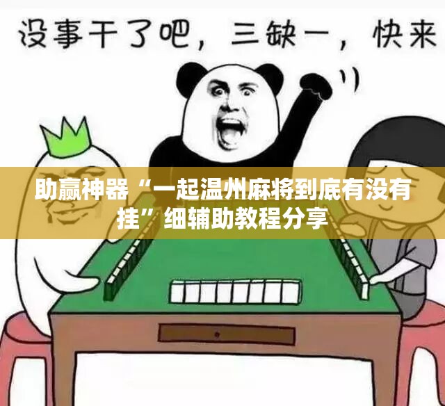 助赢神器“一起温州麻将到底有没有挂”细辅助教程分享