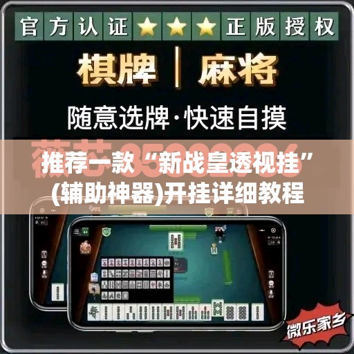 推荐一款“新战皇透视挂	”(辅助神器)开挂详细教程
