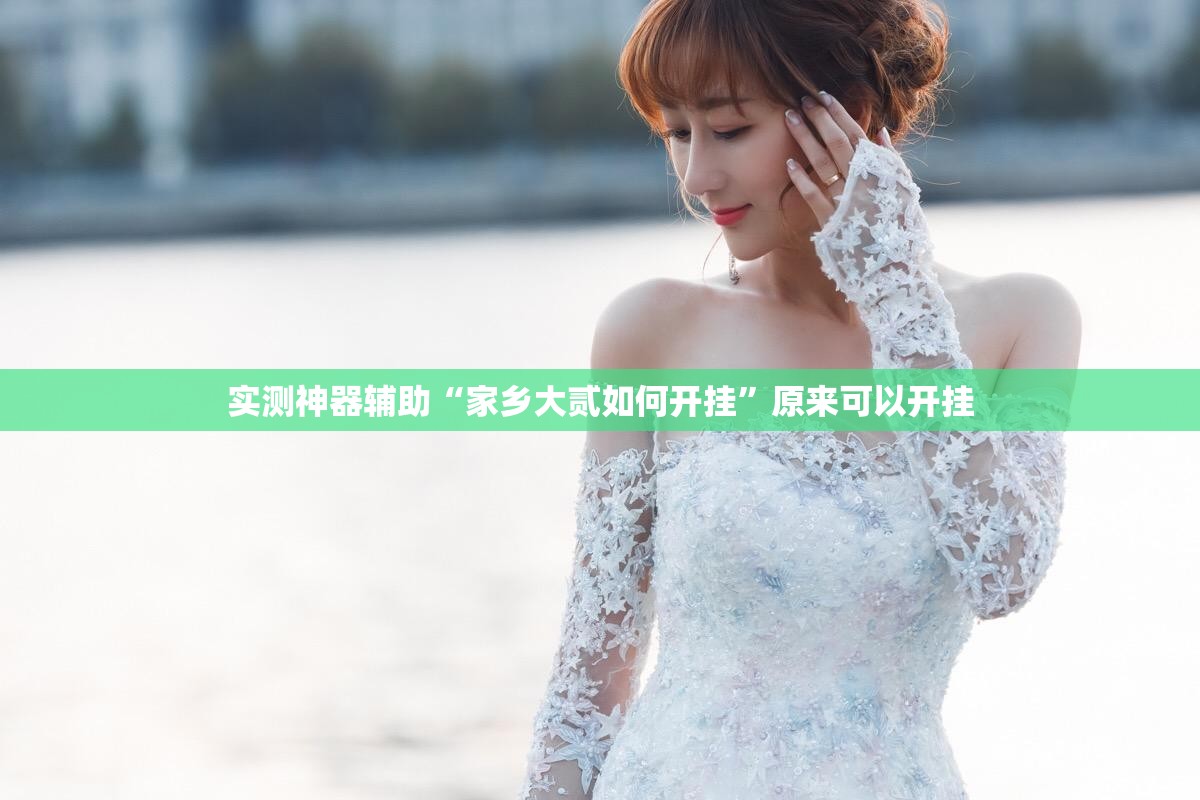 实测神器辅助“家乡大贰如何开挂”原来可以开挂