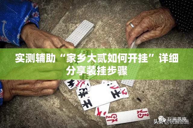 实测辅助“家乡大贰如何开挂”详细分享装挂步骤