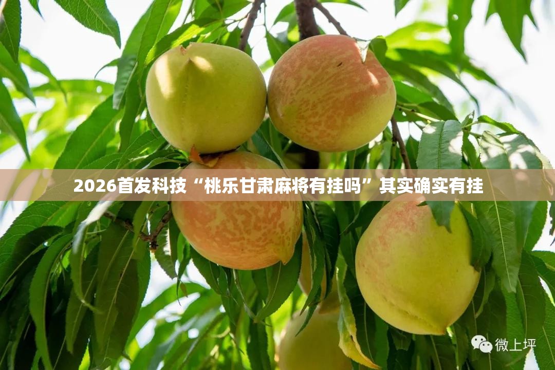 2026首发科技“桃乐甘肃麻将有挂吗”其实确实有挂