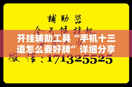 开挂辅助工具“手机十三道怎么要好牌	”详细分享装挂步骤