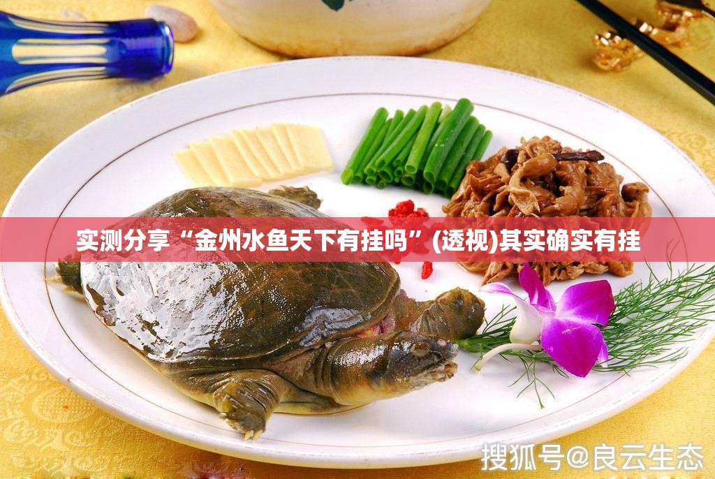 实测分享“金州水鱼天下有挂吗”(透视)其实确实有挂