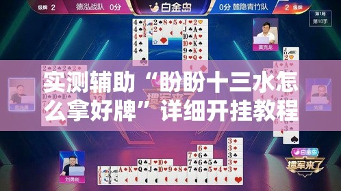 实测辅助“盼盼十三水怎么拿好牌”详细开挂教程
