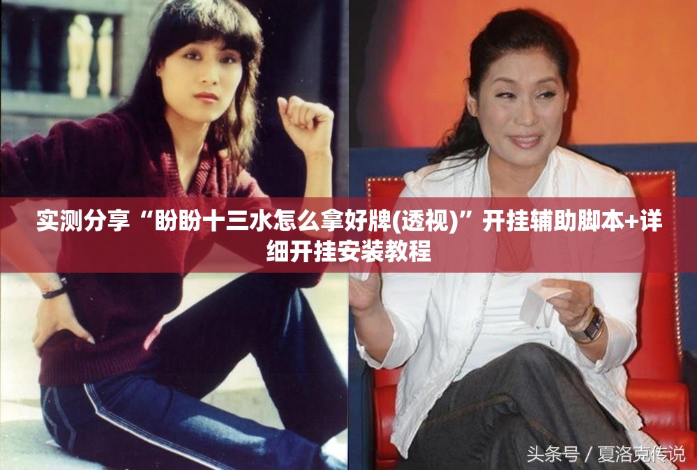 实测分享“盼盼十三水怎么拿好牌(透视)”开挂辅助脚本+详细开挂安装教程