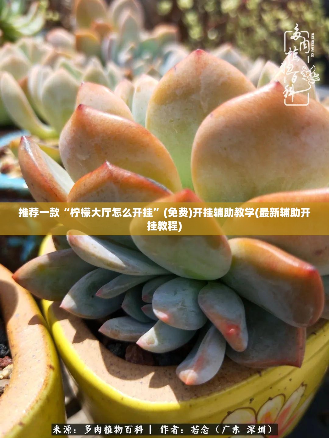 推荐一款“柠檬大厅怎么开挂”(免费)开挂辅助教学(最新辅助开挂教程)