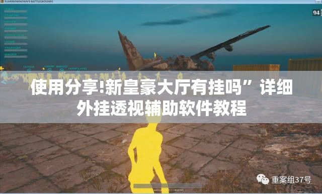 使用分享!新皇豪大厅有挂吗	”详细外挂透视辅助软件教程