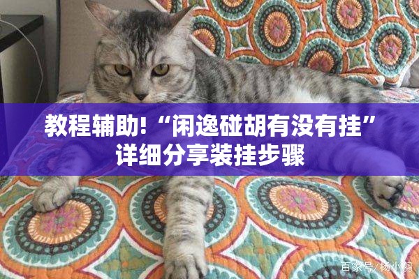 教程辅助!“闲逸碰胡有没有挂	”详细分享装挂步骤