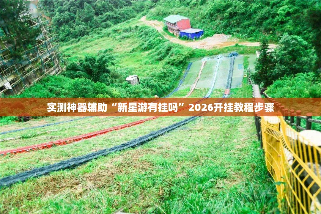实测神器辅助“新星游有挂吗”2026开挂教程步骤