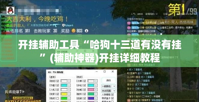 开挂辅助工具“哈狗十三道有没有挂	”(辅助神器)开挂详细教程